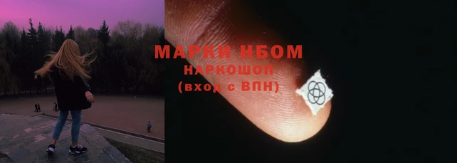 гидропоника Пересвет