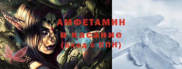 гидропоника Пересвет